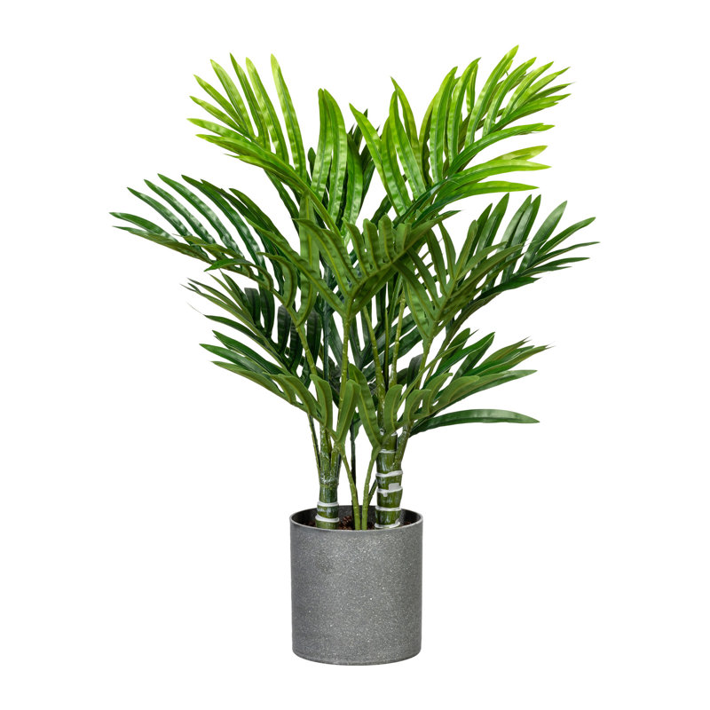 Die Saisontruhe Kunstpflanze Palme im Topf Wayfair.de